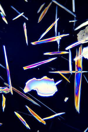Pectolite crystals NaCa2Si3O8 in polarized light, 100x magnification