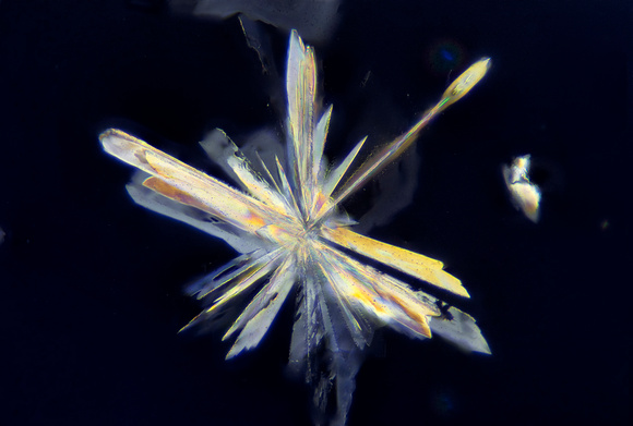 Kodak fixer (thiosulfate) crystals in polarized light, 100x