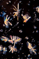 Kodak fixer (thiosulfate) crystals in polarized light, 20x