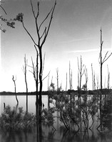 Manasquan Reservoir, Arista 100 film