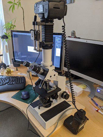 Light microscope setup with camera and electronic flash