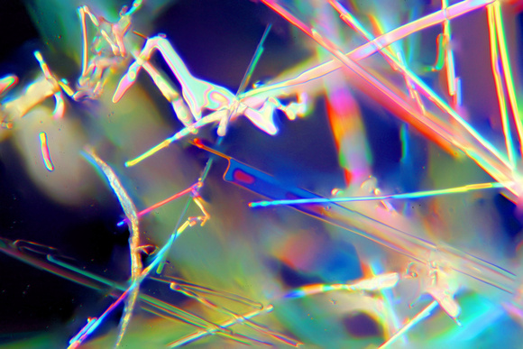 Polarized Crystals