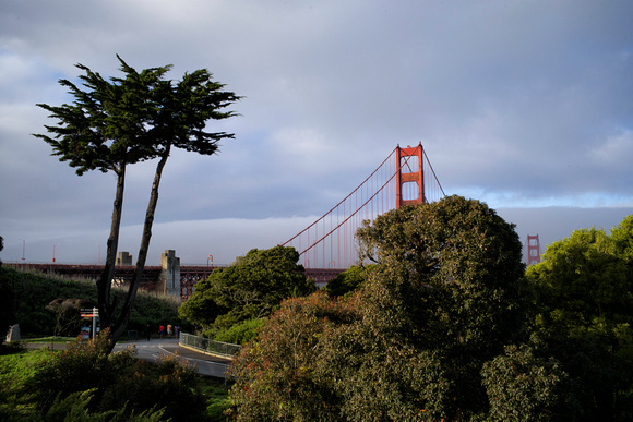 Golden Gate Bridge After the Fog Lifted