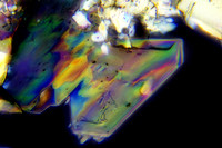 Molten sugar crystal, 400x in polarized light