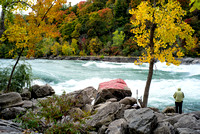 Devil's Hole and Whirlpool State Parks, NY