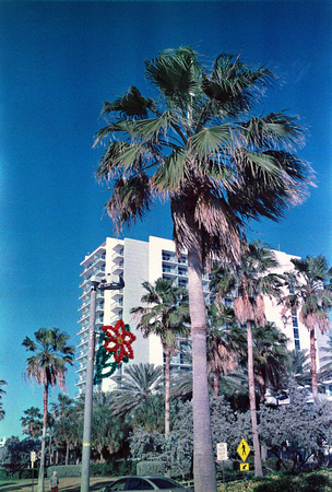 Clearwater Beach, FL